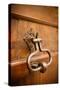 French Door Knocker II-Erin Berzel-Stretched Canvas