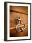 French Door Knocker II-Erin Berzel-Framed Photographic Print