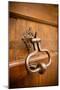 French Door Knocker II-Erin Berzel-Mounted Photographic Print