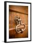 French Door Knocker II-Erin Berzel-Framed Photographic Print