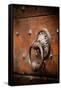 French Door Knocker IV-Erin Berzel-Framed Stretched Canvas