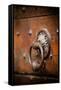 French Door Knocker IV-Erin Berzel-Framed Stretched Canvas