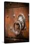 French Door Knocker IV-Erin Berzel-Stretched Canvas