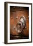 French Door Knocker IV-Erin Berzel-Framed Photographic Print