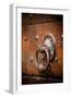 French Door Knocker IV-Erin Berzel-Framed Photographic Print