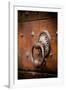 French Door Knocker IV-Erin Berzel-Framed Photographic Print