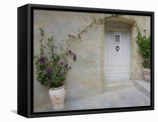 French Doorway-Barbara Simmons-Framed Stretched Canvas