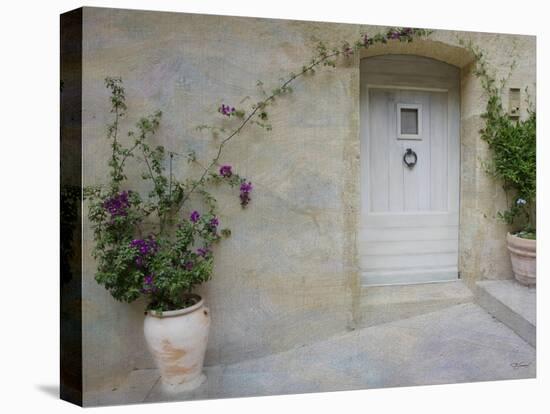 French Doorway-Barbara Simmons-Stretched Canvas