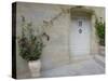 French Doorway-Barbara Simmons-Stretched Canvas