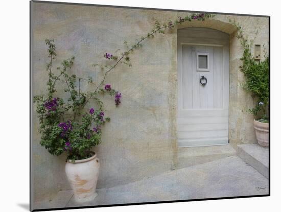 French Doorway-Barbara Simmons-Mounted Photographic Print