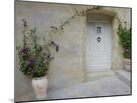 French Doorway-Barbara Simmons-Mounted Photographic Print