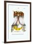 French Empire Bed No. 7-null-Framed Art Print