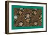 French Fabrics, 1800-50-null-Framed Giclee Print