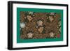 French Fabrics, 1800-50-null-Framed Giclee Print