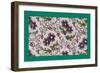 French Fabrics, 1800-50-null-Framed Giclee Print