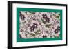 French Fabrics, 1800-50-null-Framed Giclee Print