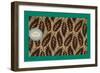 French Fabrics, 1800-50-null-Framed Giclee Print