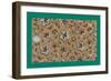 French Fabrics, 1800-50-null-Framed Giclee Print