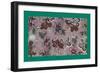 French Fabrics, 1800-50-null-Framed Giclee Print