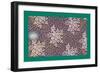 French Fabrics, 1800-50-null-Framed Giclee Print