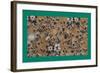 French Fabrics, 1800-50-null-Framed Giclee Print