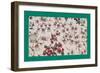 French Fabrics, 1800-50-null-Framed Giclee Print