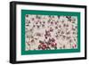 French Fabrics, 1800-50-null-Framed Giclee Print