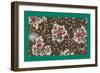 French Fabrics, 1800-50-null-Framed Giclee Print