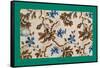 French Fabrics, 1800-50-null-Framed Stretched Canvas