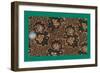 French Fabrics, 1800-50-null-Framed Giclee Print