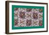 French Fabrics, 1800-50-null-Framed Giclee Print