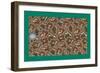 French Fabrics, 1800-50-null-Framed Giclee Print