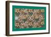 French Fabrics, 1800-50-null-Framed Giclee Print