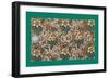 French Fabrics, 1800-50-null-Framed Giclee Print