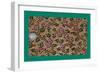 French Fabrics, 1800-50-null-Framed Giclee Print