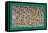 French Fabrics, 1800-50-null-Framed Stretched Canvas