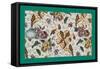 French Fabrics, 1800-50-null-Framed Stretched Canvas