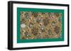 French Fabrics, 1800-50-null-Framed Giclee Print