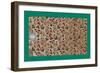 French Fabrics, 1800-50-null-Framed Giclee Print