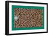 French Fabrics, 1800-50-null-Framed Giclee Print