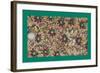 French Fabrics, 1800-50-null-Framed Giclee Print