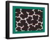 French Fabrics, 1800-50-null-Framed Giclee Print