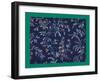 French Fabrics, 1800-50-null-Framed Giclee Print