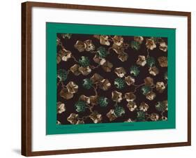 French Fabrics, 1800-50-null-Framed Giclee Print