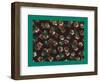 French Fabrics, 1800-50-null-Framed Giclee Print