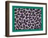 French Fabrics, 1800-50-null-Framed Giclee Print