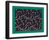 French Fabrics, 1800-50-null-Framed Giclee Print