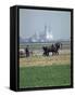 French Farmer Laying Fertilizer on His Field with a Team of Percheron Horses-Loomis Dean-Framed Stretched Canvas