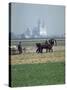 French Farmer Laying Fertilizer on His Field with a Team of Percheron Horses-Loomis Dean-Stretched Canvas