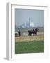 French Farmer Laying Fertilizer on His Field with a Team of Percheron Horses-Loomis Dean-Framed Photographic Print